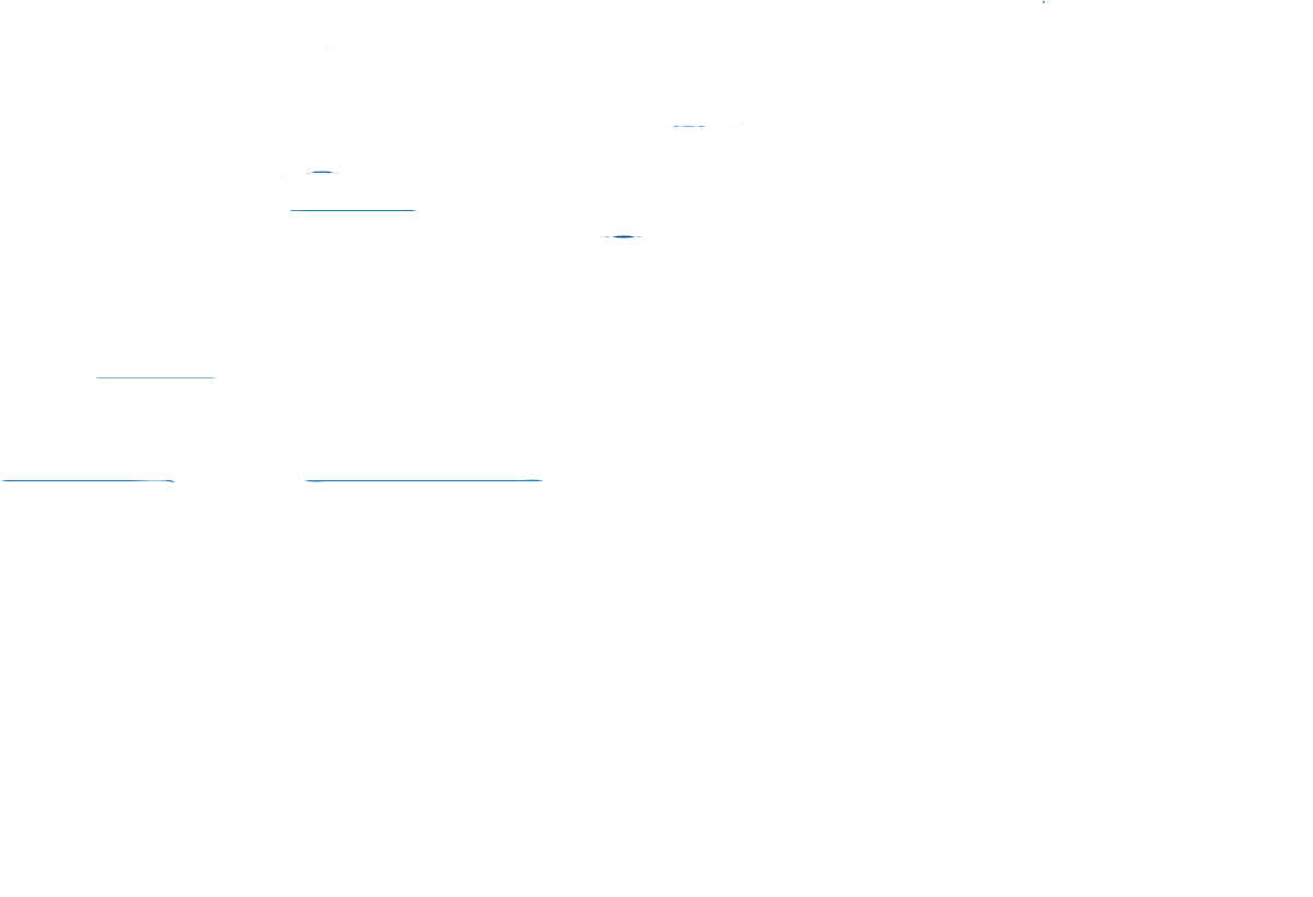 finnea_logo_vektoroitu_valkoinen
