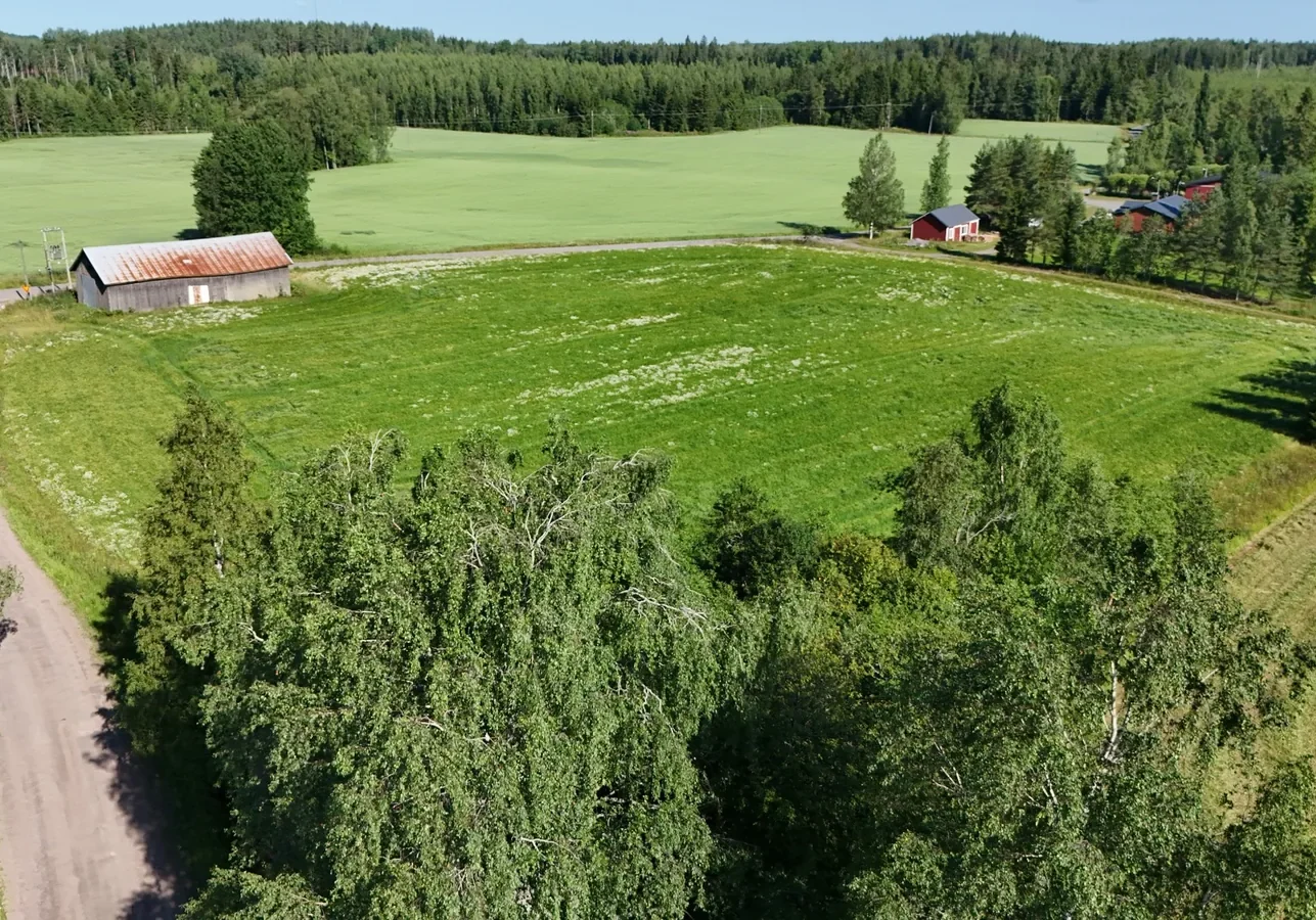 dji_fly_20260714_094356_0025_1784036594729_photo_wordpress_1600