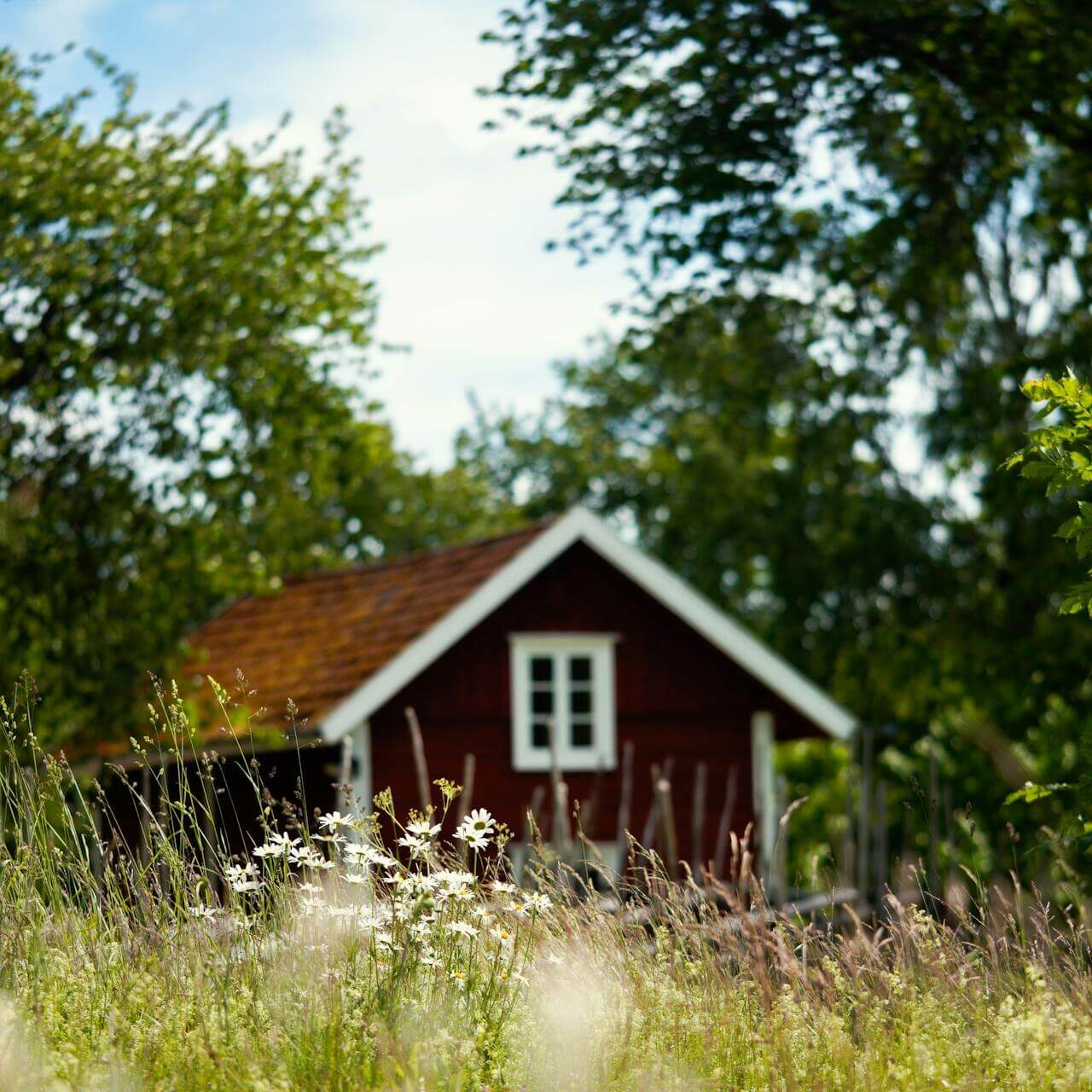niittymökki