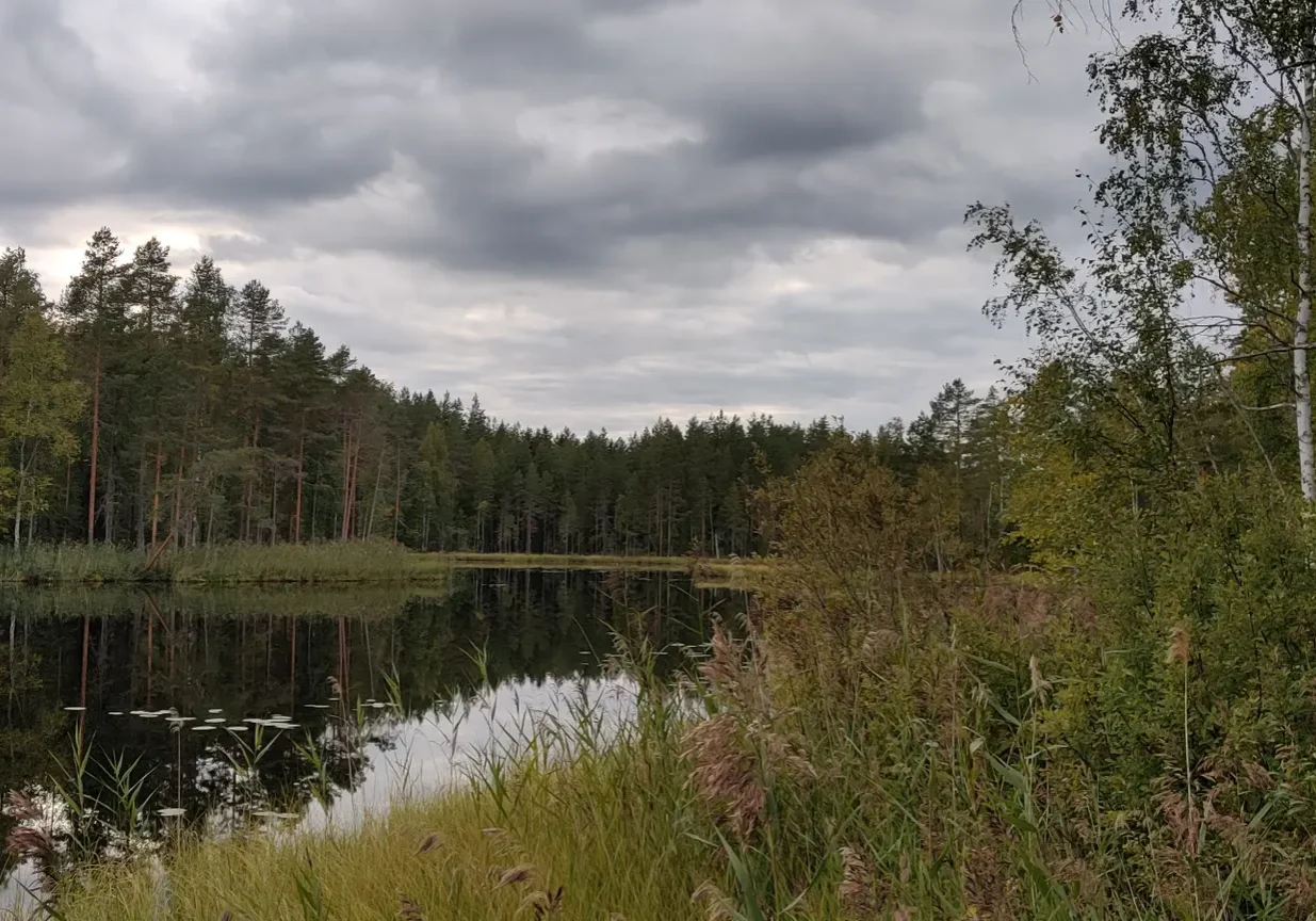 saariskyläntie tontti
